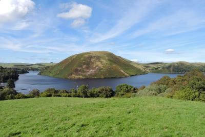 448 CENTRAL CLYWEDOG.jpg